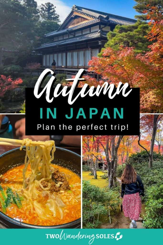 Autumn in Japan (Pin E)