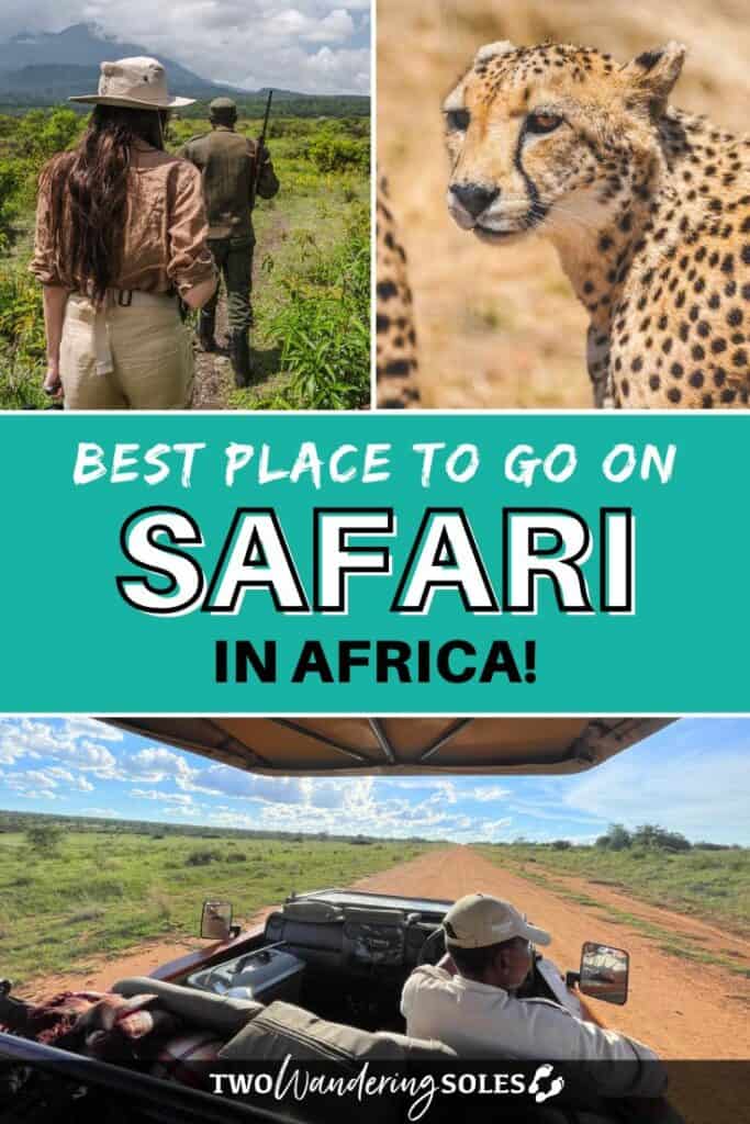 Best Place to Go on Safari | Two Wandering Soles