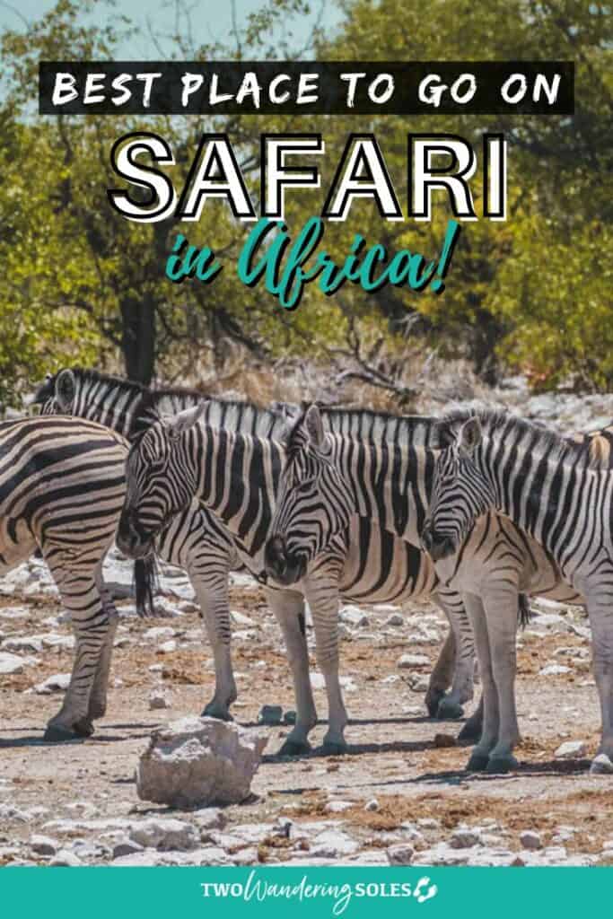 Best Place to Go on Safari | Two Wandering Soles