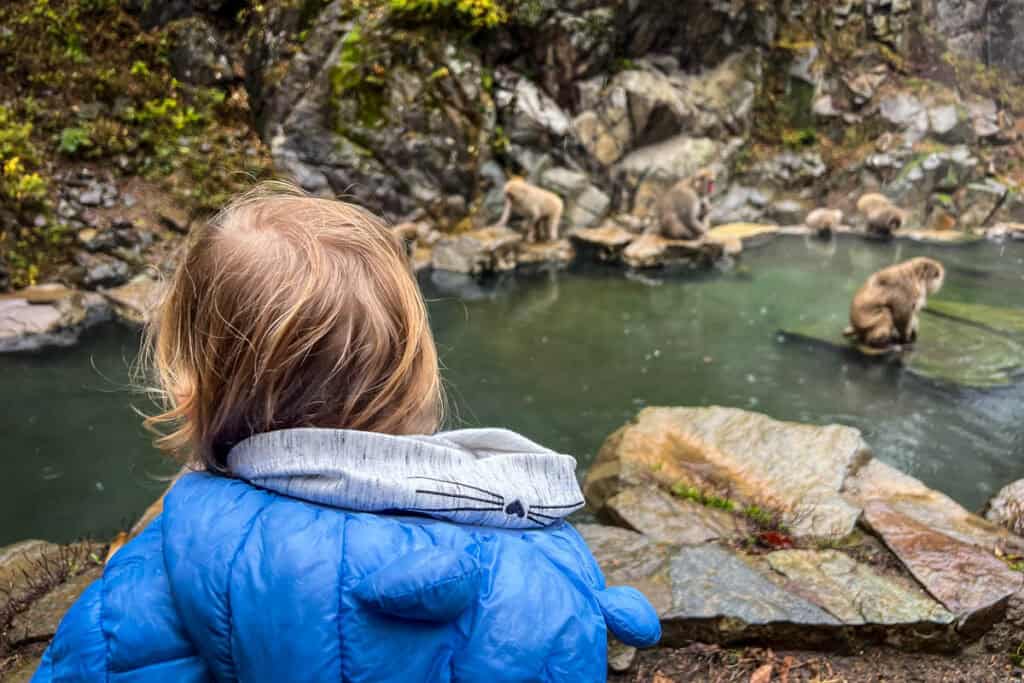 Jigokudani Monkey Park Japan with kids