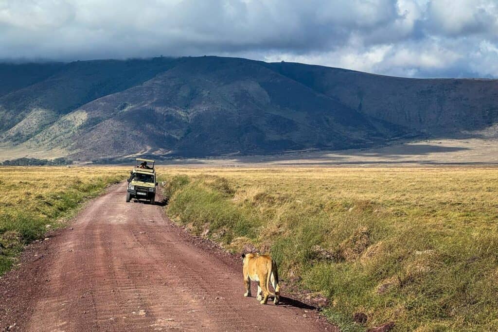 Ngorongoro Crater Tanzania