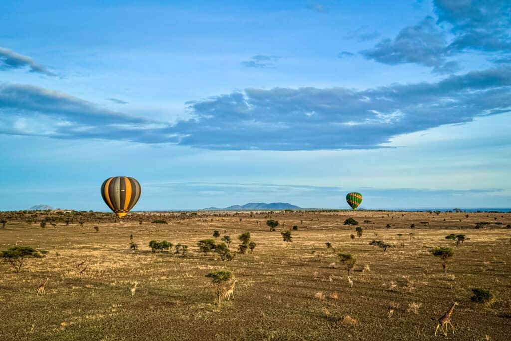 Serengeti National Park Tanzania