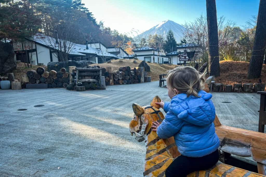 Mount Fuji glamping playground