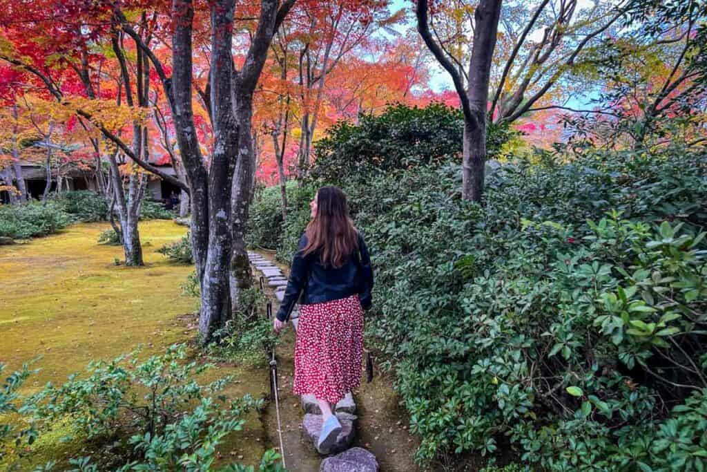 Autumn in Japan Okochi Sanso Garden, Arashiyama Kyoto