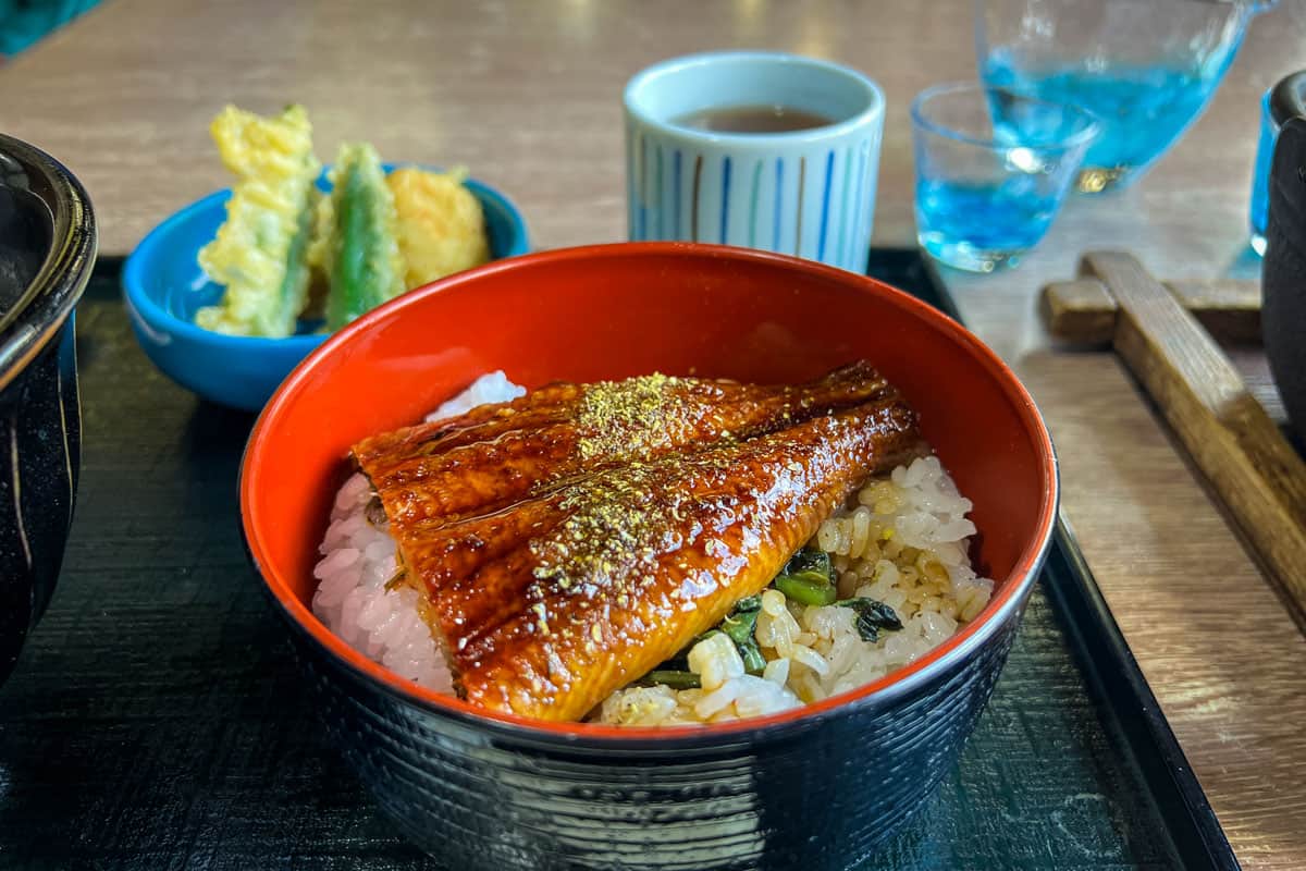 Japanese food unagi don