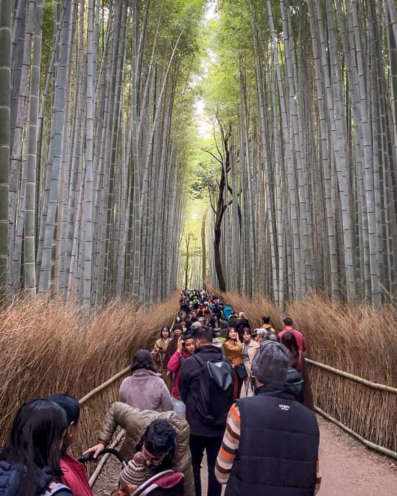 Arashiyama bamboo grove Kyoto Japan