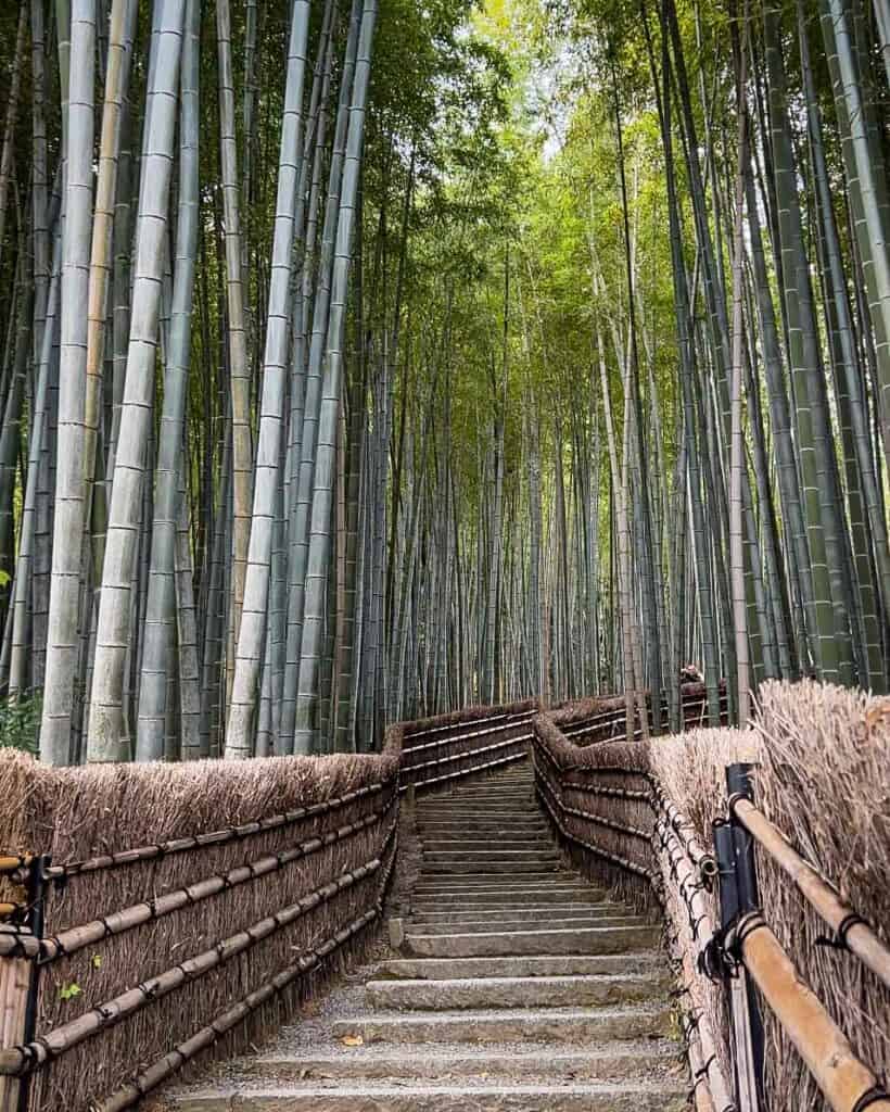 Adashino Nenbutsu-ji bamboo forest Arashiyama Kyoto Japan