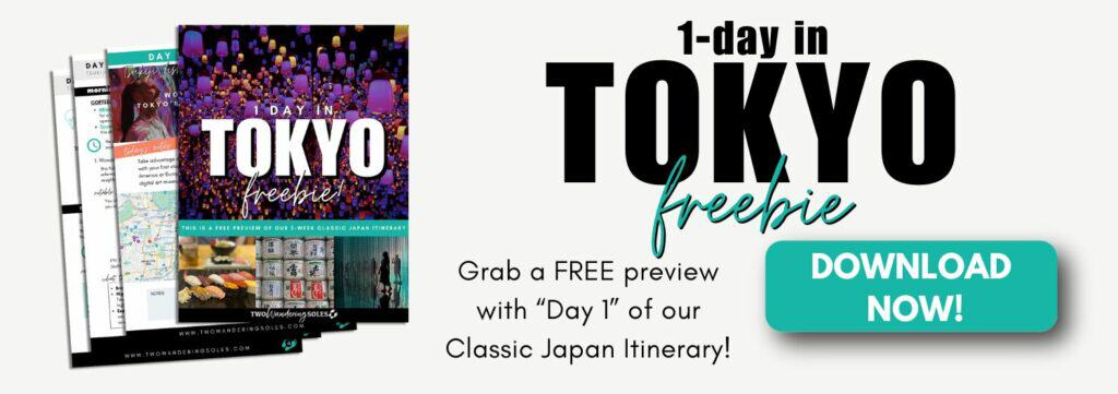 Tokyo 1 Day Freebie