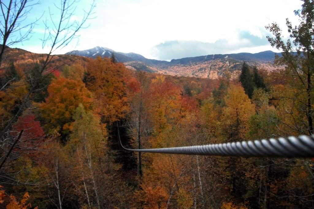 ArborTrek zipline Stowe Vermont (Stowe Area Association)