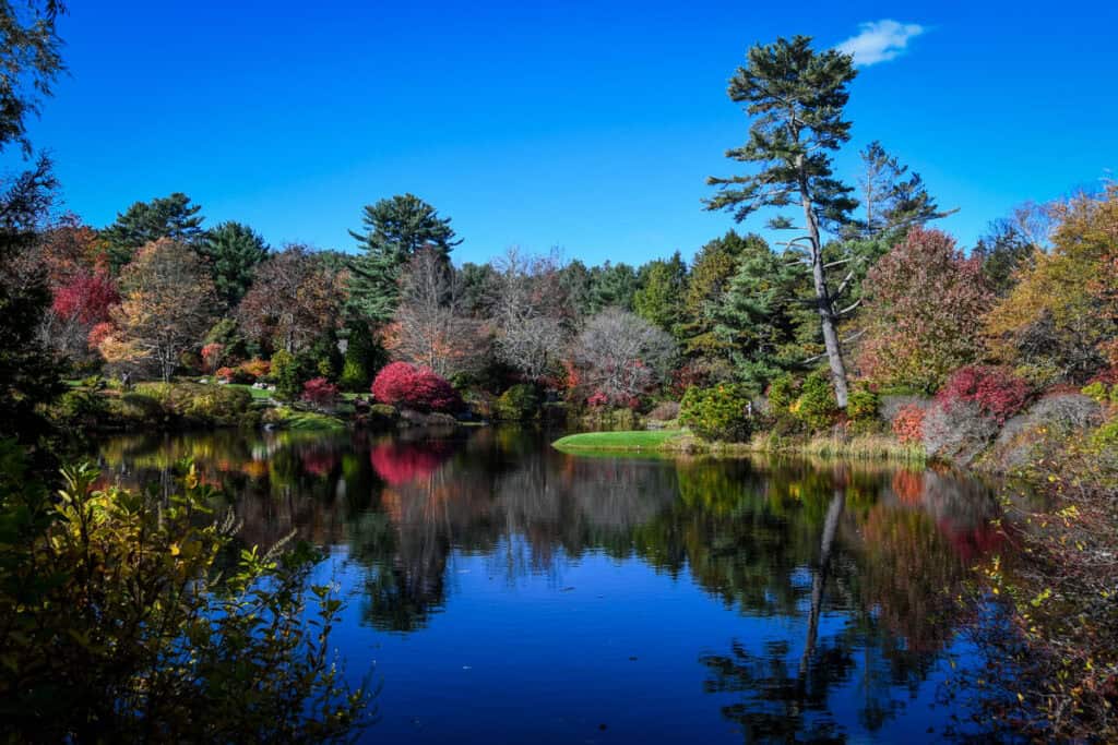 Asticou Azalea Garden Acadia National Park Maine