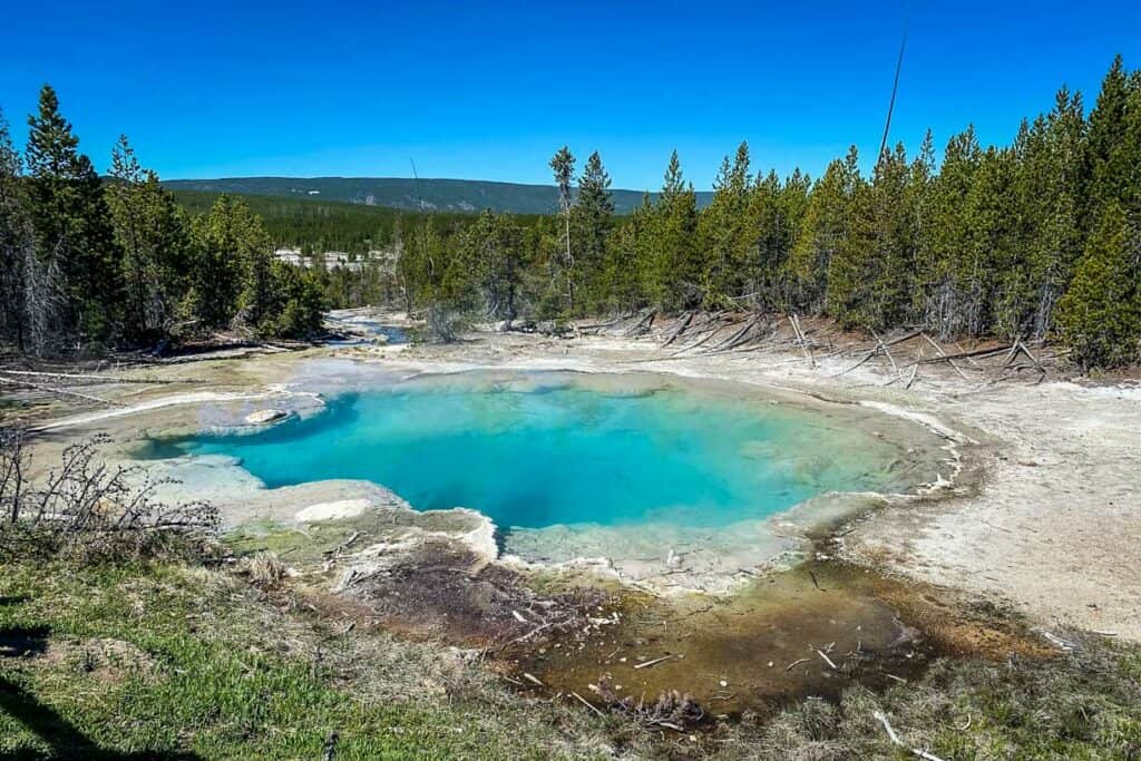 Black Basin Trail (Nick Petragnani)