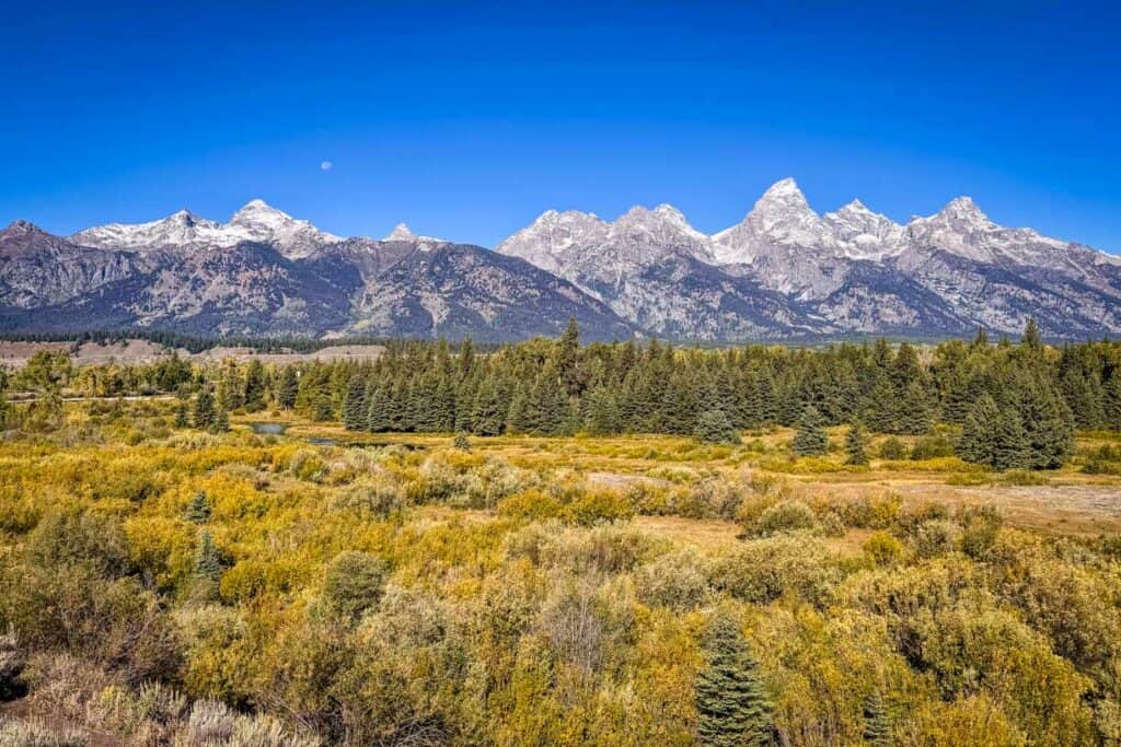 Blacktail Ponds Overlook Grand Teton National Park