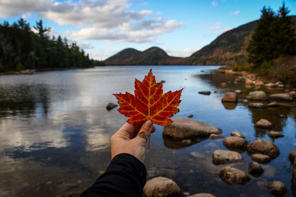 Fall in Acadia National Park Maine