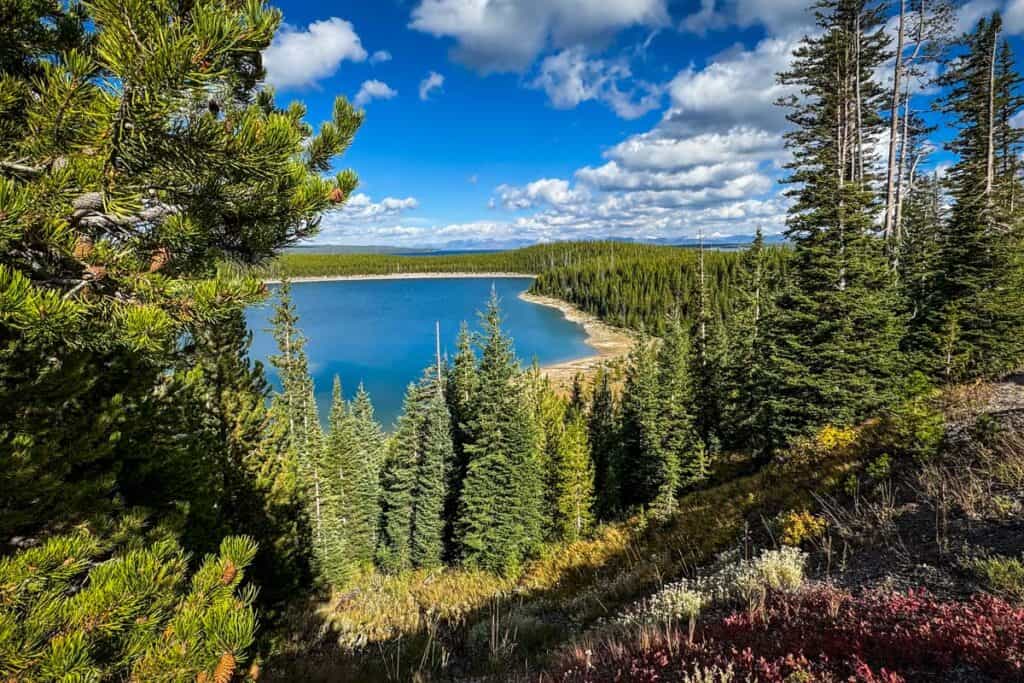 Duck Lake Overlook Yellowstone National Park