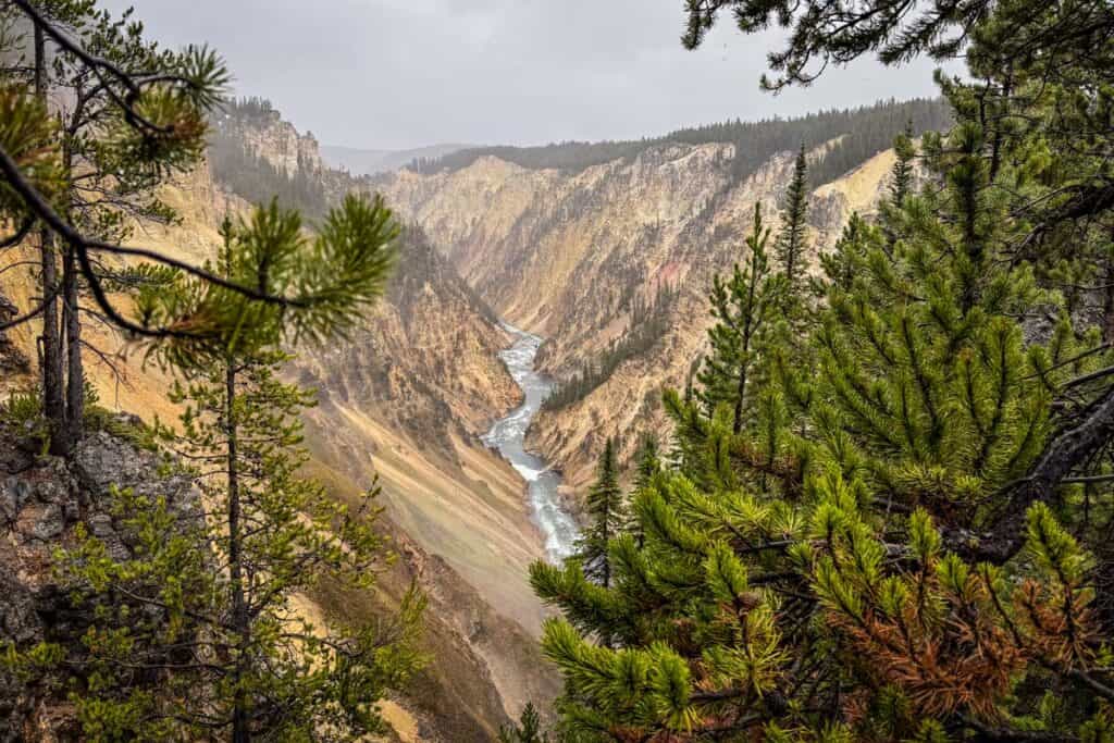 Grand Canyon of the Yellowstone - Brink of the Lower Falls Trail - Yellowstone National Park