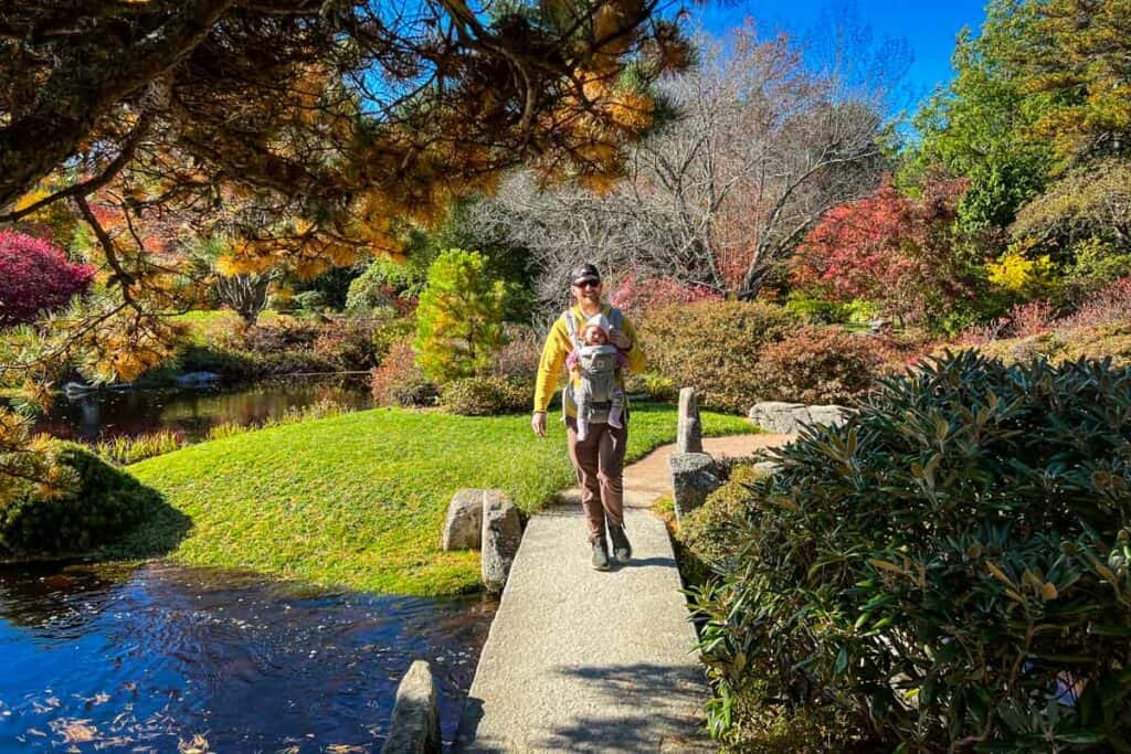 Asticou Azalea Garden Acadia National Park Maine