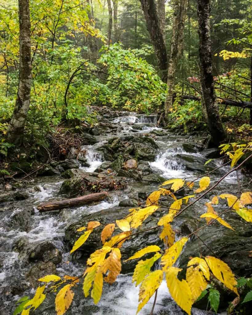 Mount Mansfield hike Stowe Vermont