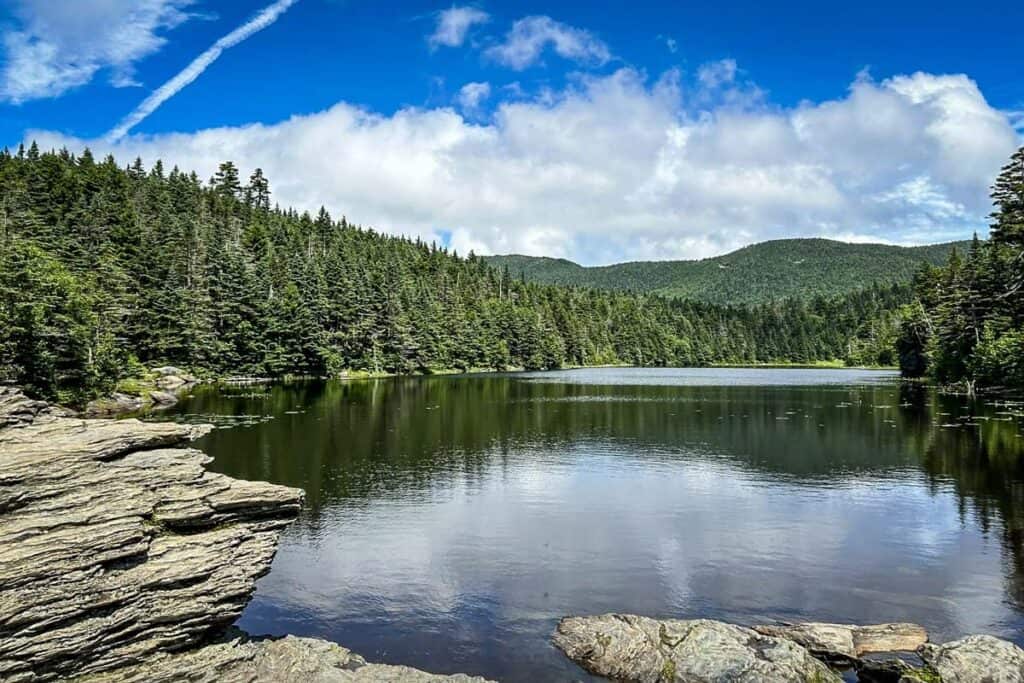 Sterling Pond Trail Stowe Vermont (AllTrails)