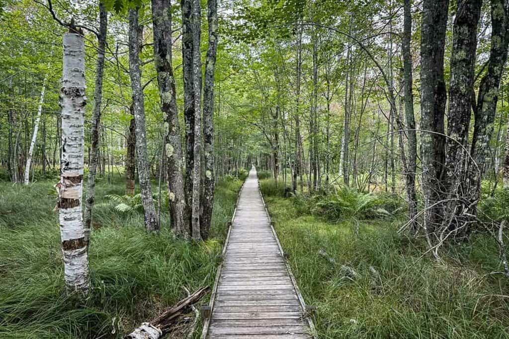 Jesup & Hemlock Loop Acadia National Park Maine (AllTrails)