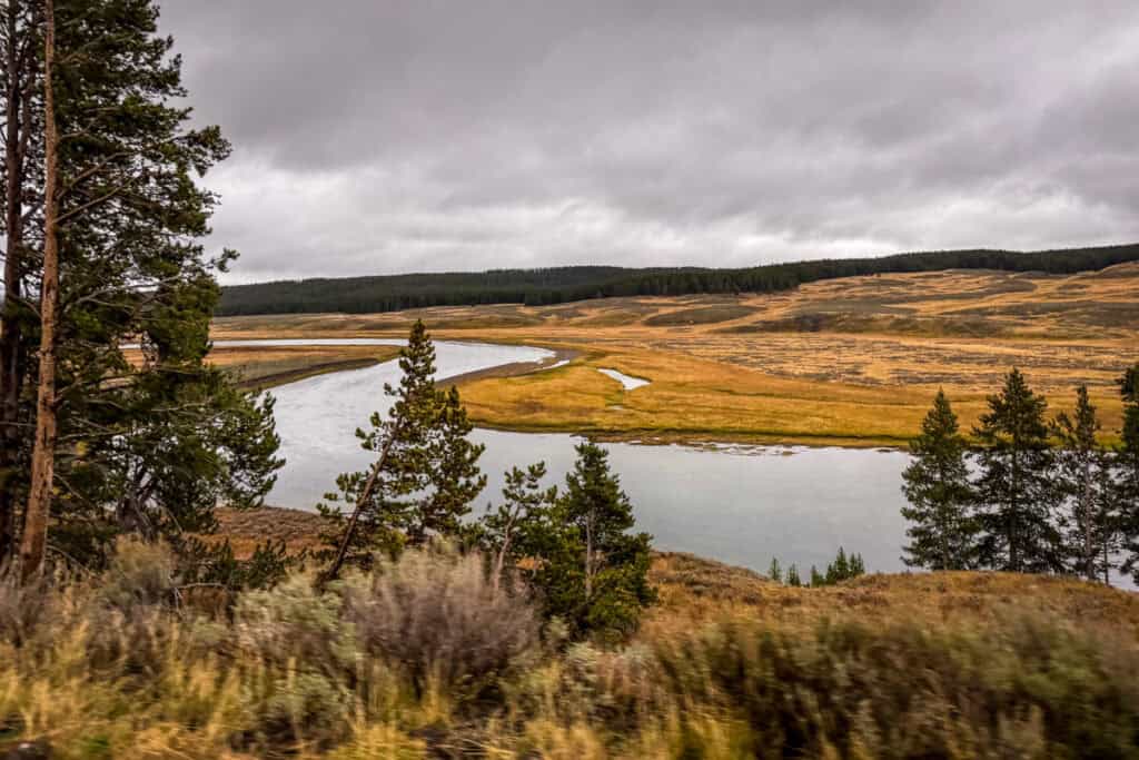 Lewis River Yellowstone National Park