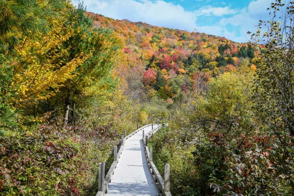 Thundering Brooks Falls Trail Killington Vermont