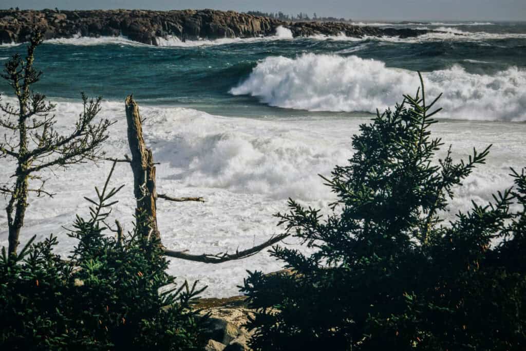 Schoodic Point Acadia National Park Maine (Unsplash)