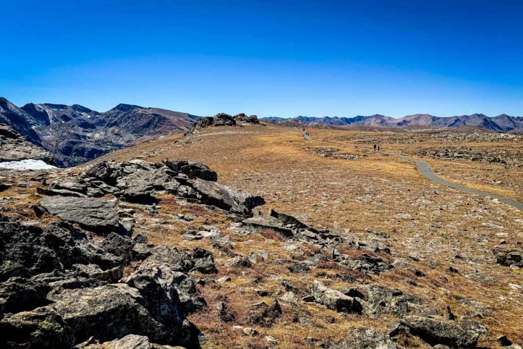 Tundra Communities Trail Rocky Mountain National Park