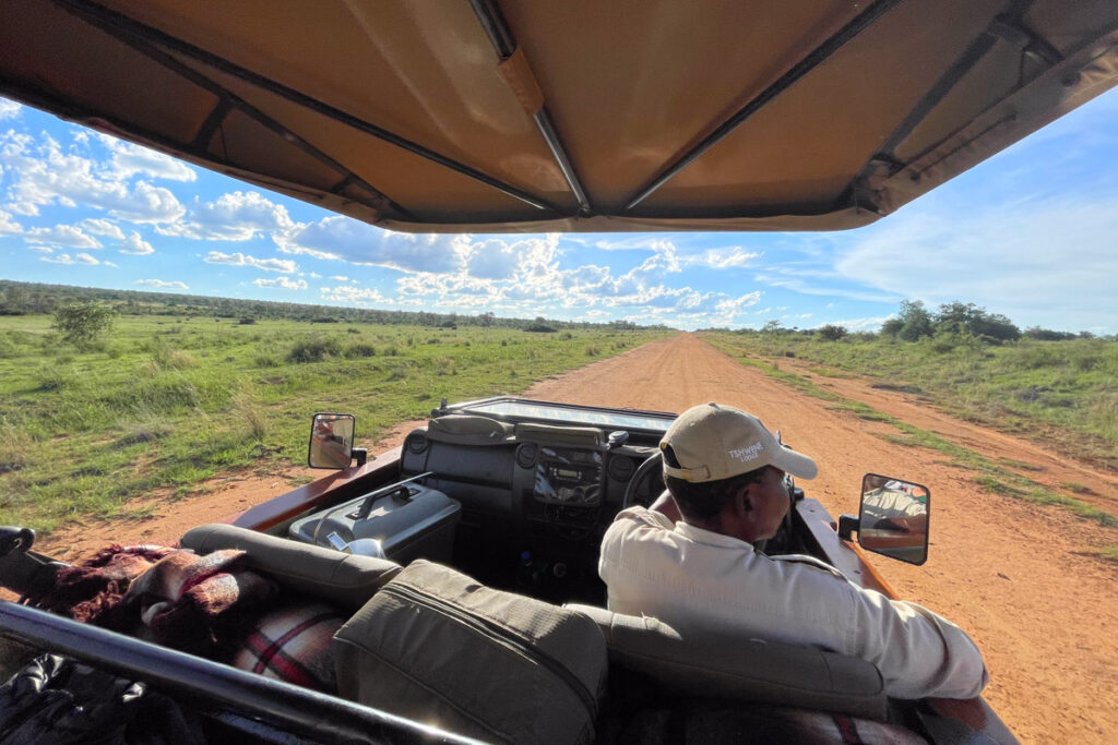 African safari South Africa