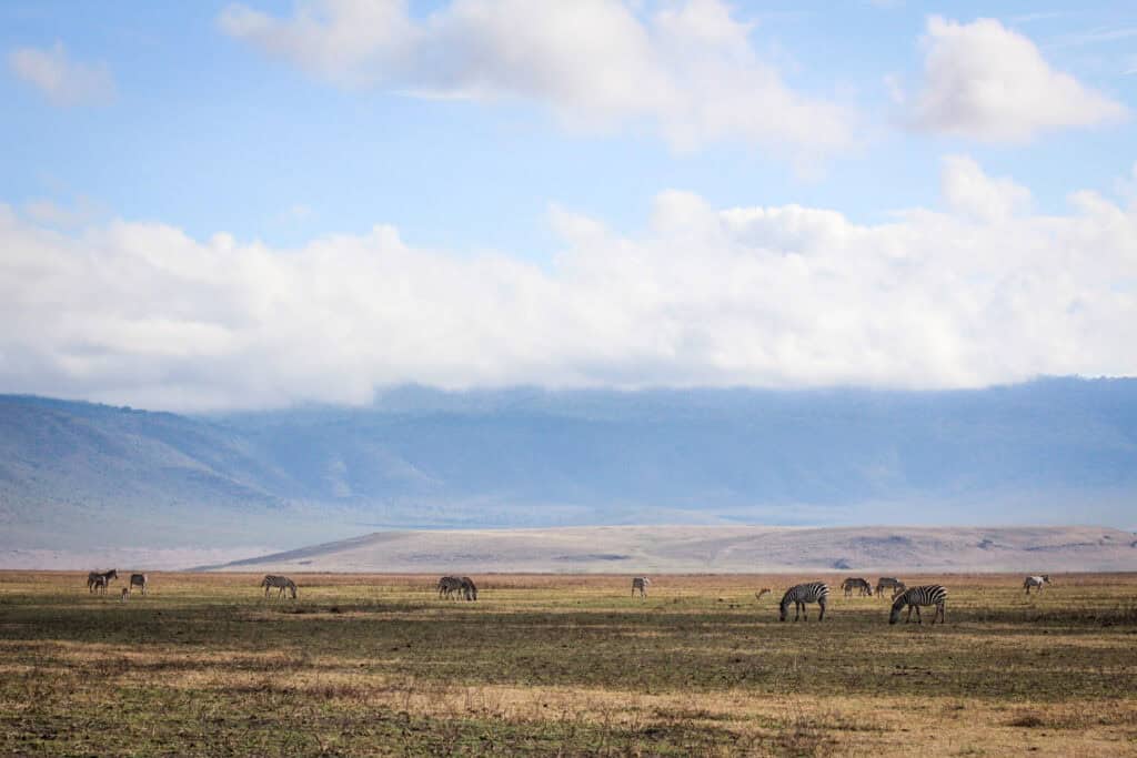 Ngorongoro Crater Tanzania safari