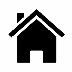 Village house icon