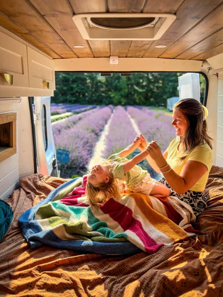 Toddler campervan lavender field