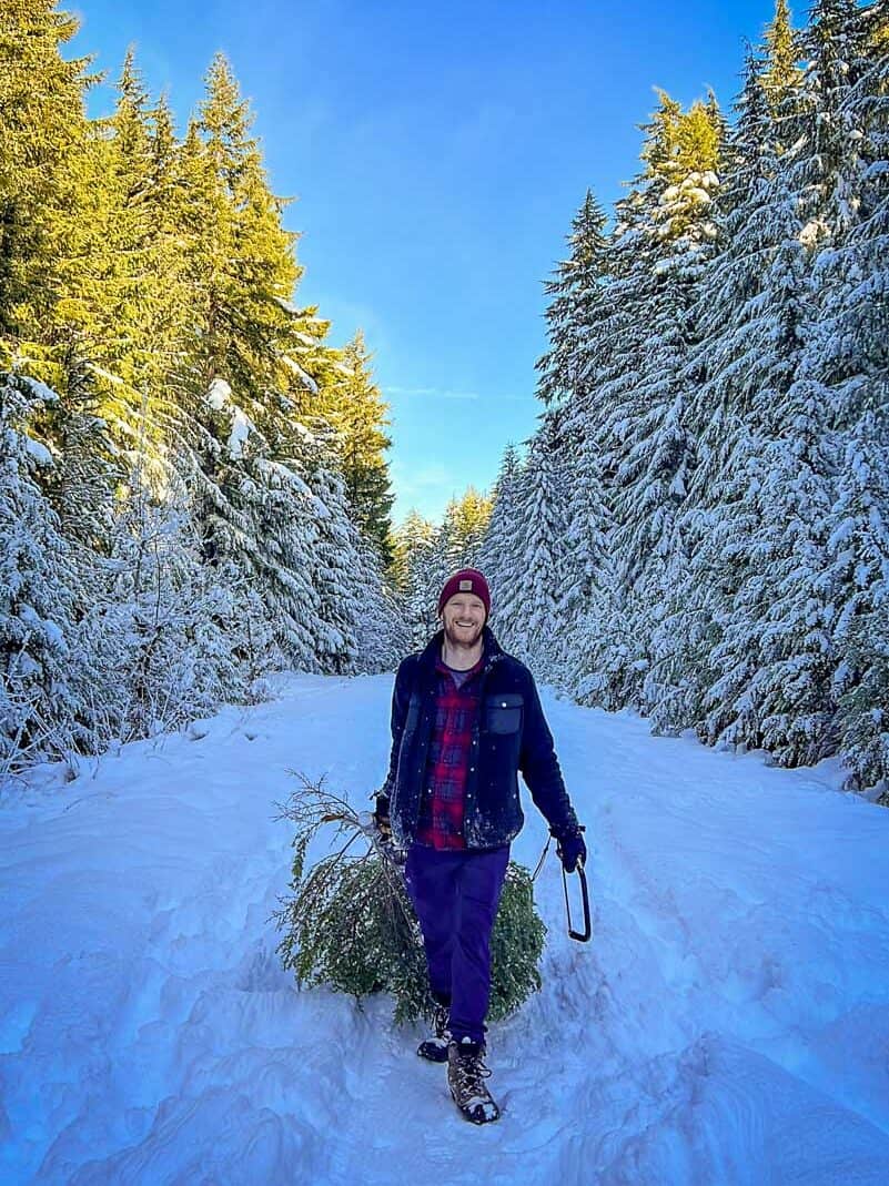 Oregon Sno Park cutting down Christmas tree