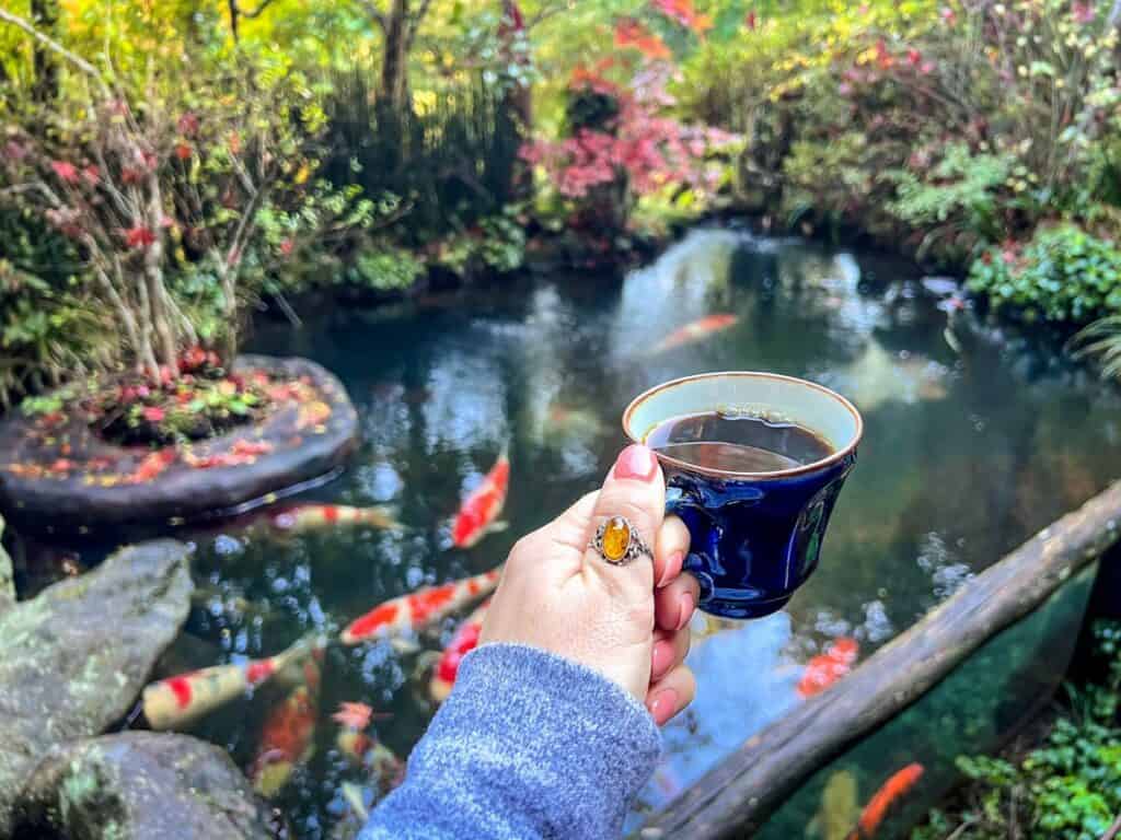 Japan Akiruno cafe koi pond