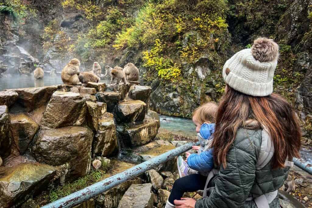 Jigokudani Monkey Park Japan