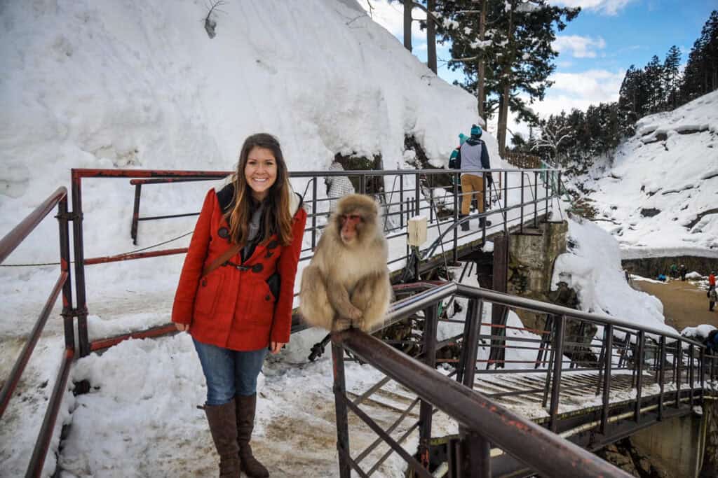 Jigokudani Snow Monkey Park Japan 2015 Katie