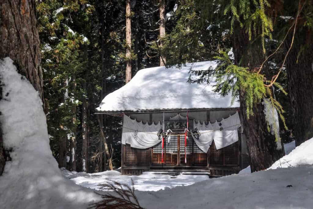 Jigokudani Snow Monkey Park Japan temple