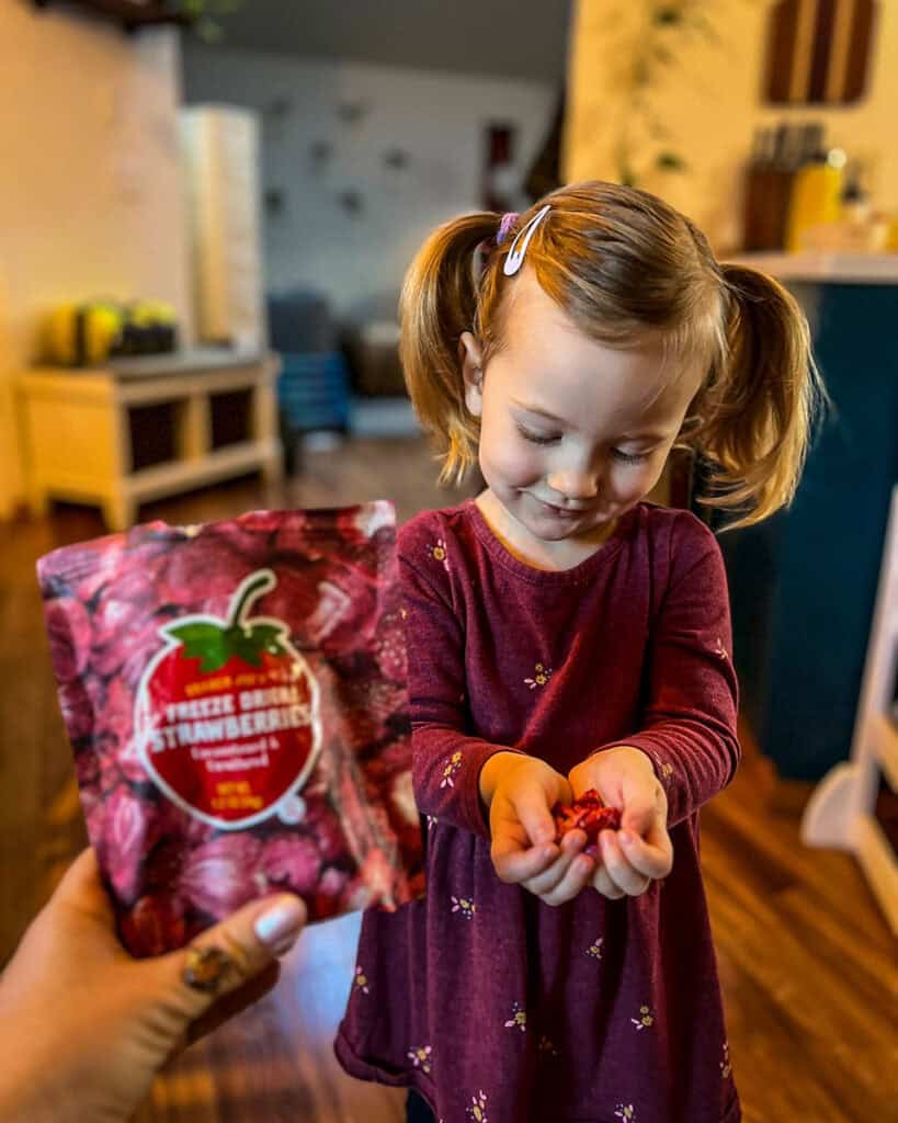 Baby toddler snack freeze dried strawberries