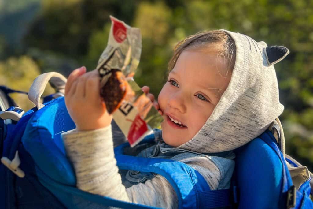 Family travel snacks That's It bar