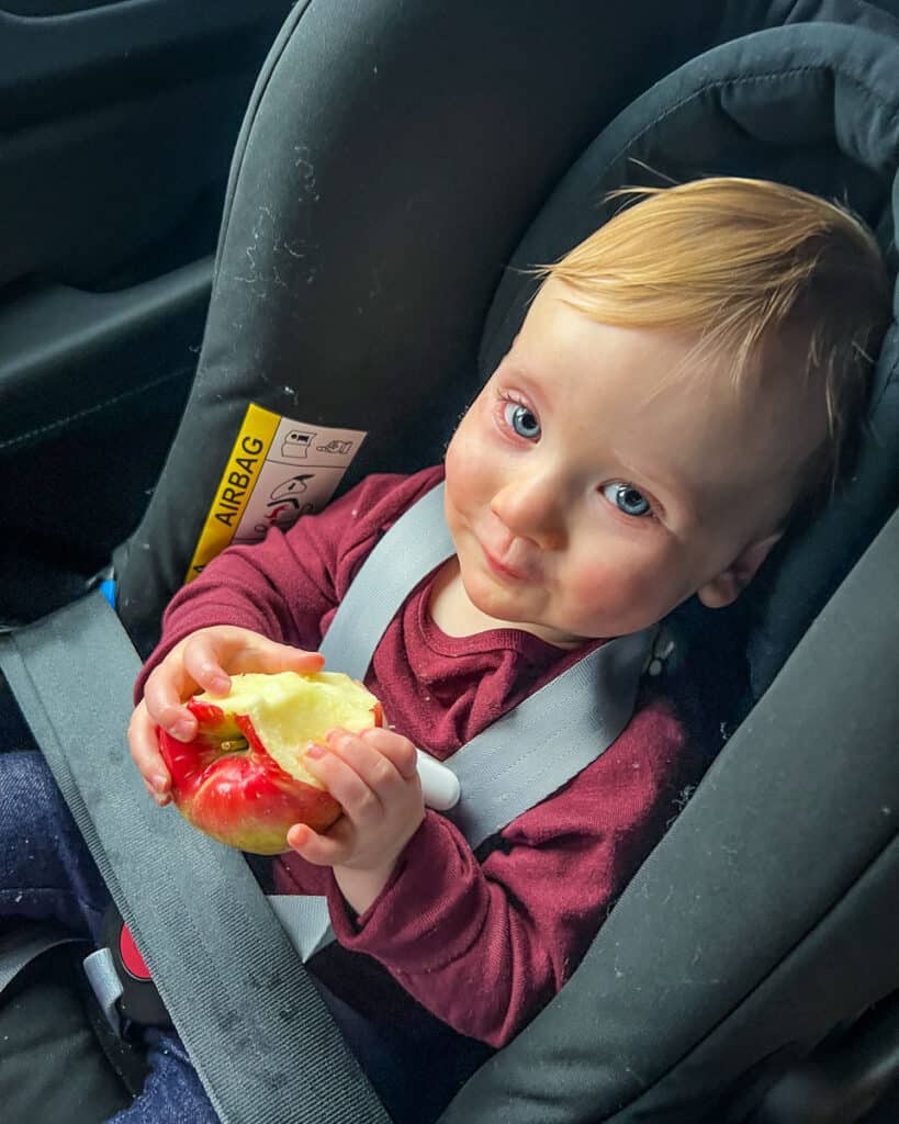 Family travel snacks apple