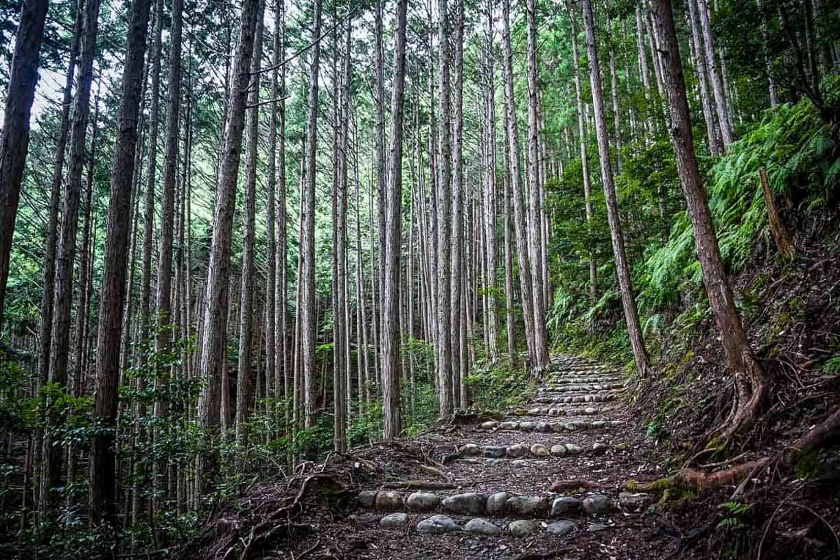 Kumano Kodo Trail Japan