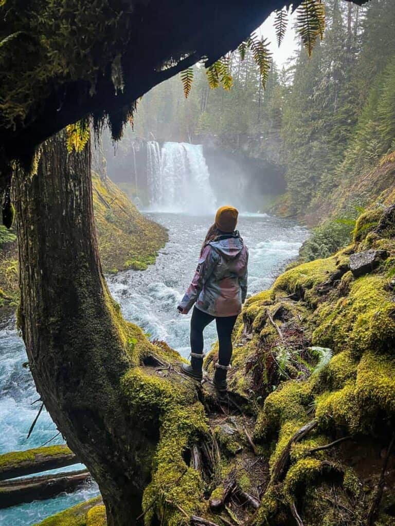 Koosah Falls Oregon