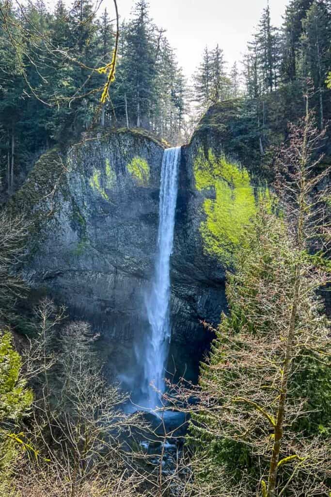 Latourell Falls near Portland, Oregon in the Columbia River Gorge