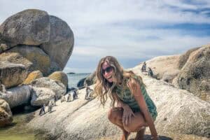 Boulders Beach penguins Simons Town South Africa