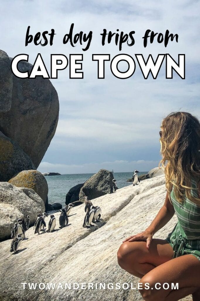 Day Trips from Cape Town | Two Wandering Soles