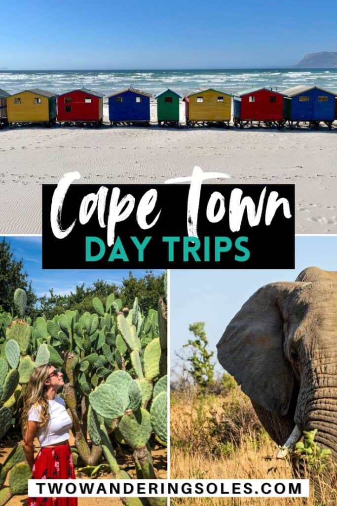 Day Trips from Cape Town | Two Wandering Soles